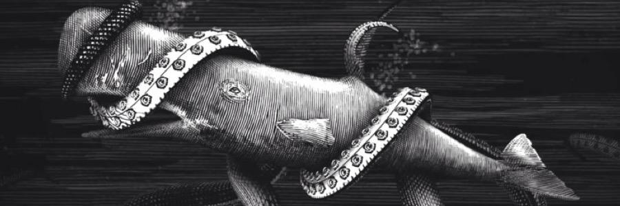 taraxlee's profile banner image