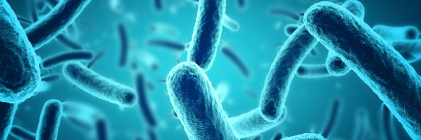 Marc Lemonnier banner