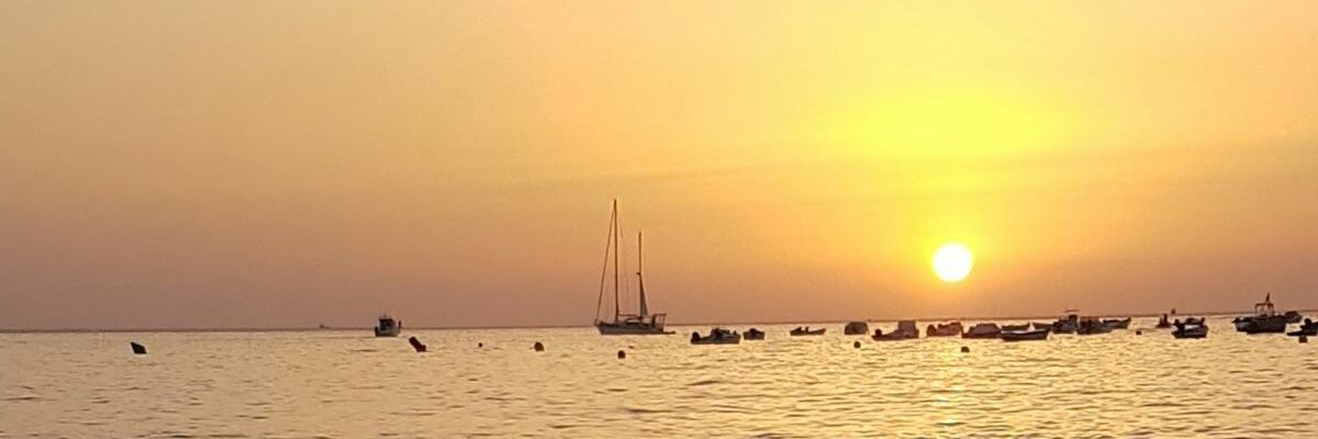 rorri33's profile banner image