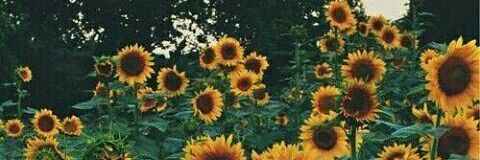 mariannamrtinez's profile banner image
