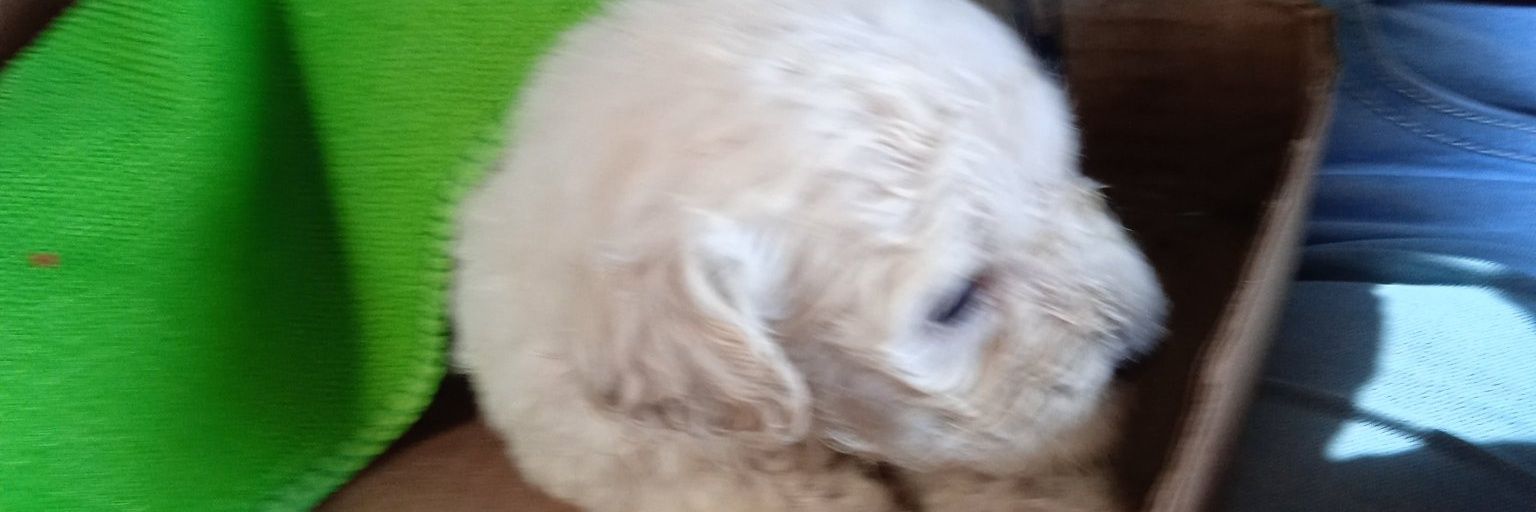 Jesusfhc_'s profile banner image