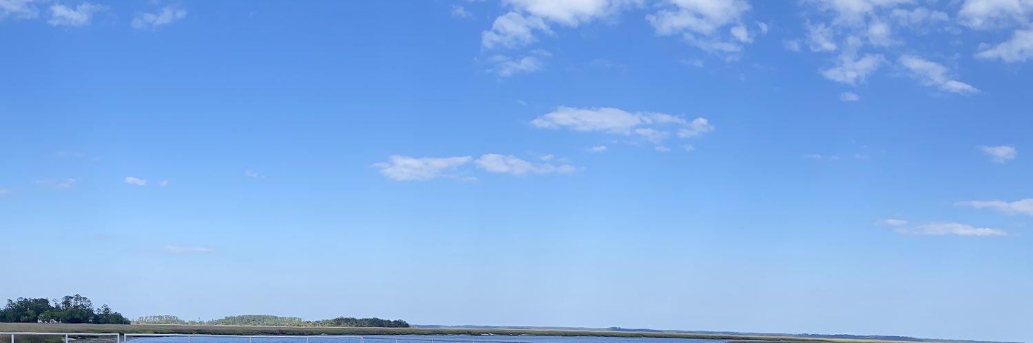 lover girl court banner