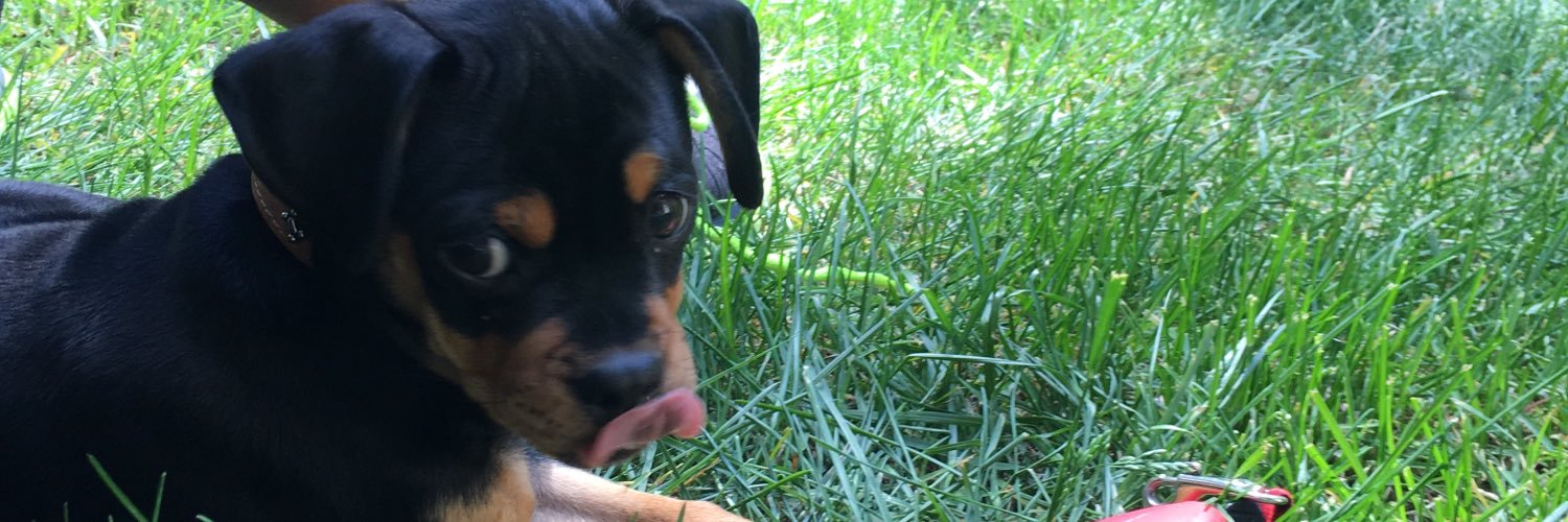 EmmyGreen's profile banner image