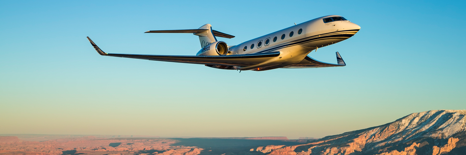 Leonardo Torres  banner