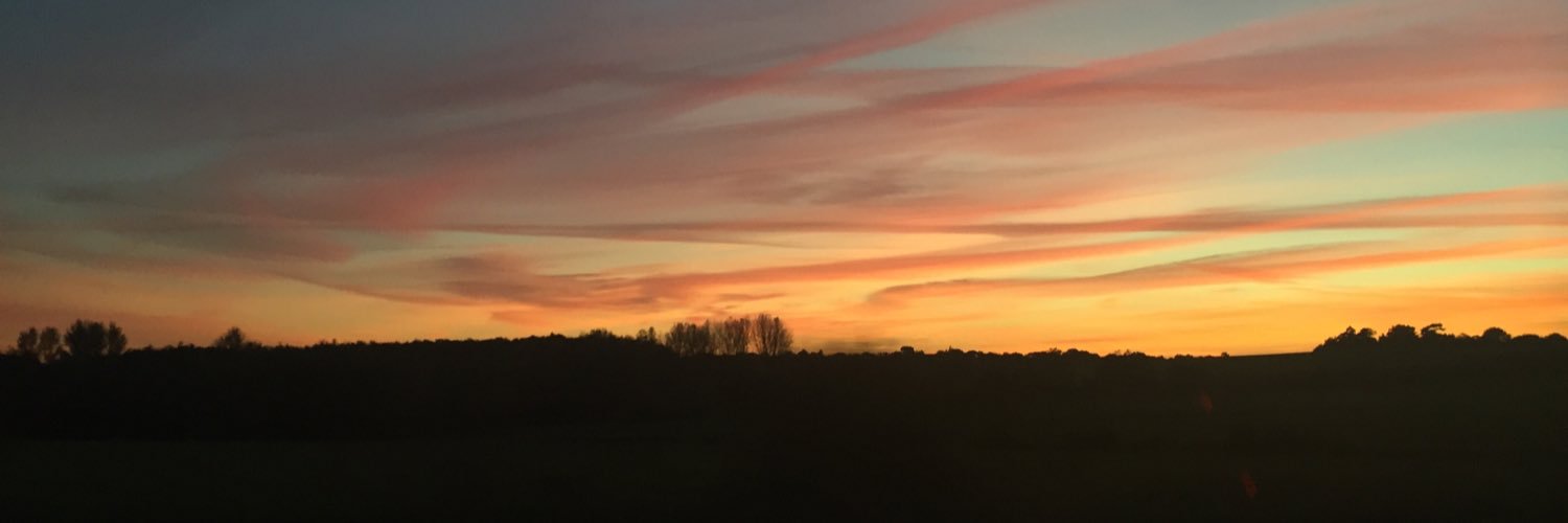 timlee201's profile banner image