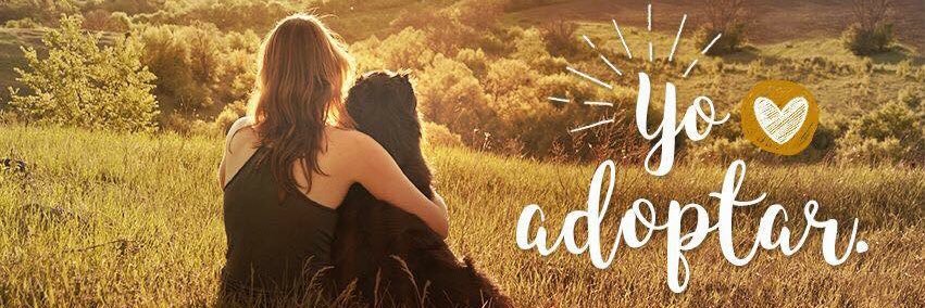 AFAD A.C banner