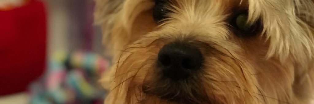 mireespinosa's profile banner image
