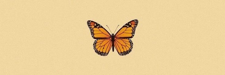 Lillyferreiraa's profile banner image