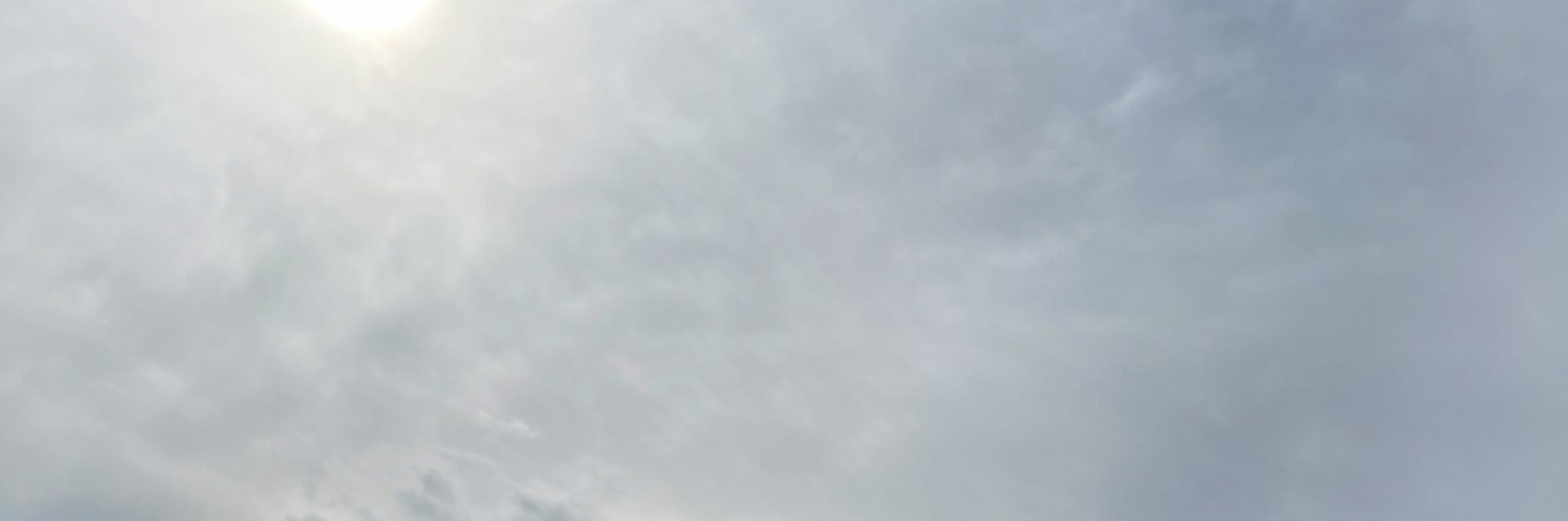 giovarius's profile banner image
