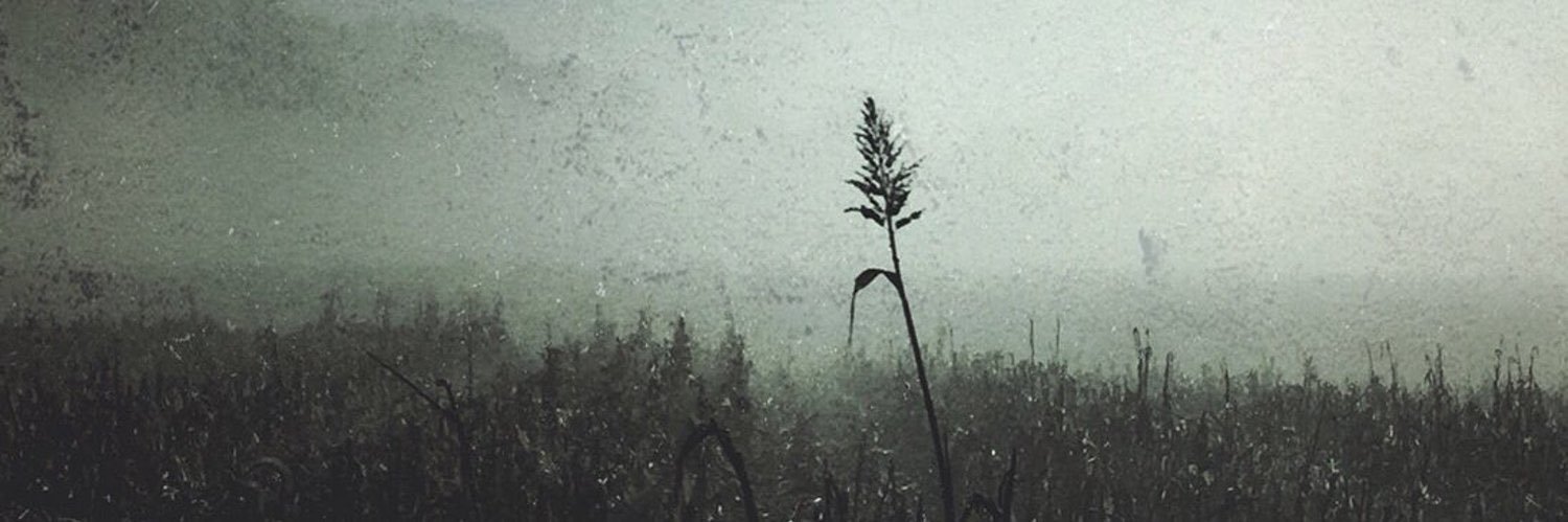 agnesofaurora's profile banner image