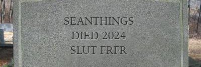 seanthings.bsky.social banner