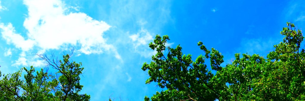 jenna_link's profile banner image
