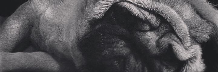 x33sh's profile banner image