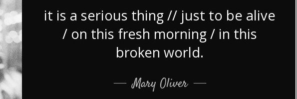 Leslie Dinaberg banner