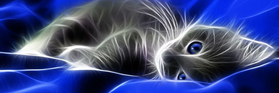 lynxpfote's profile banner image