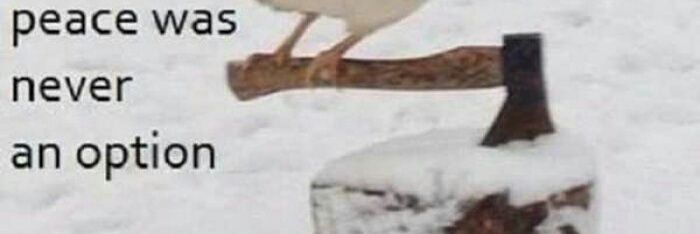 andryl_'s profile banner image