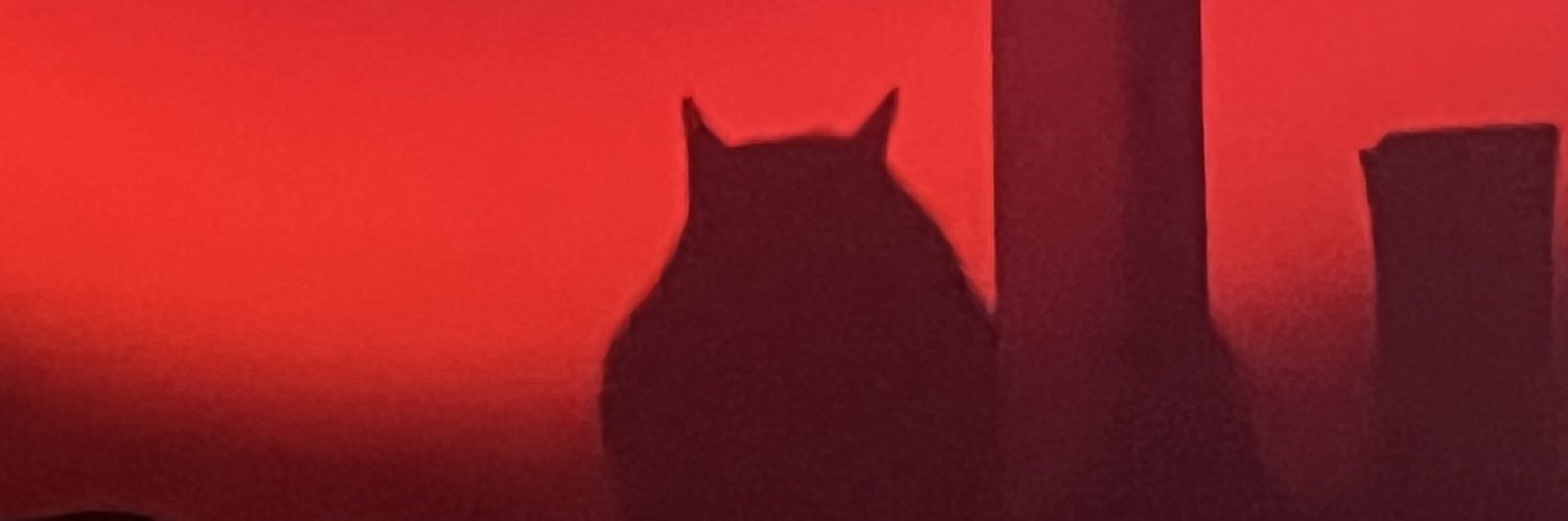Danilo banner