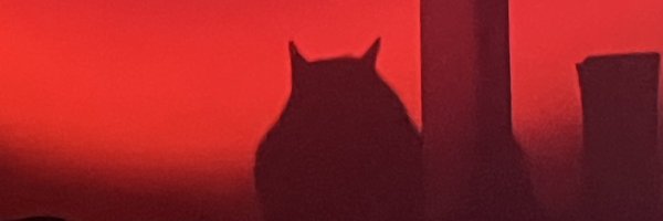 DaRioNilo Profile Banner