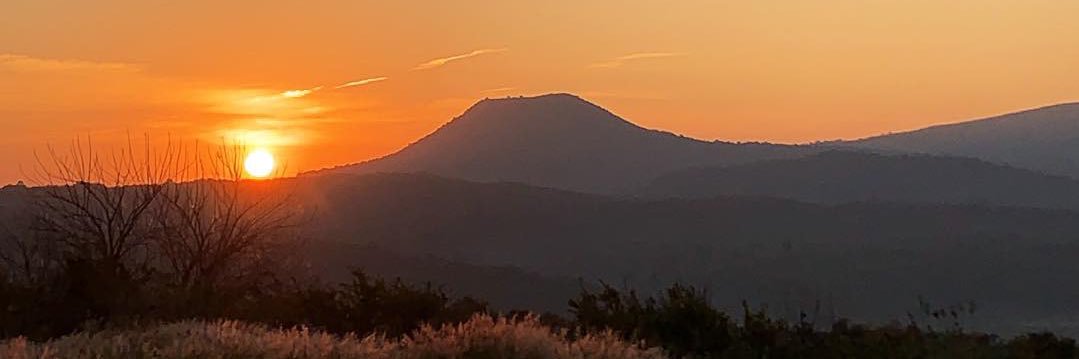 Manny_Ruiz's profile banner image