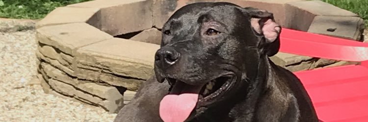 papp29's profile banner image