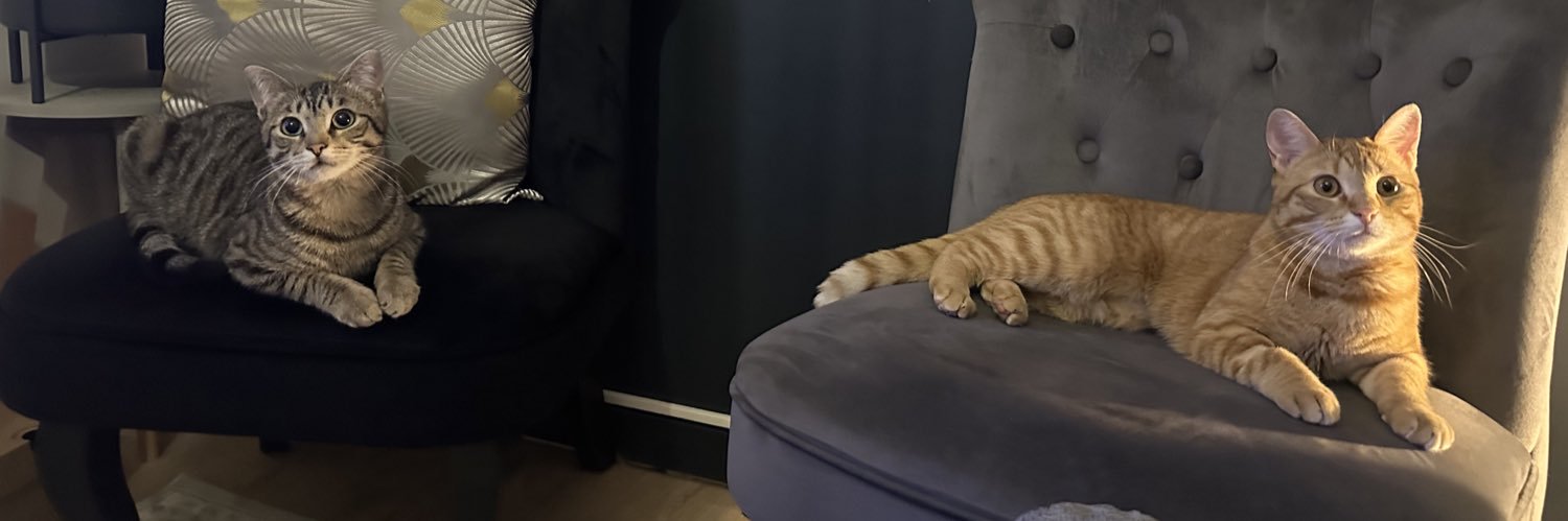 duallister's profile banner image