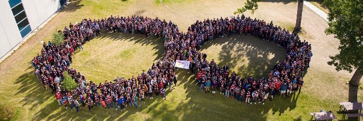 U of C Engineering banner