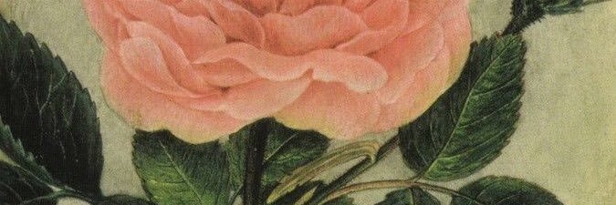 wwndrck's profile banner image