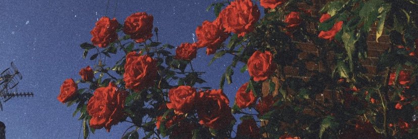 Real_For_Sale's profile banner image