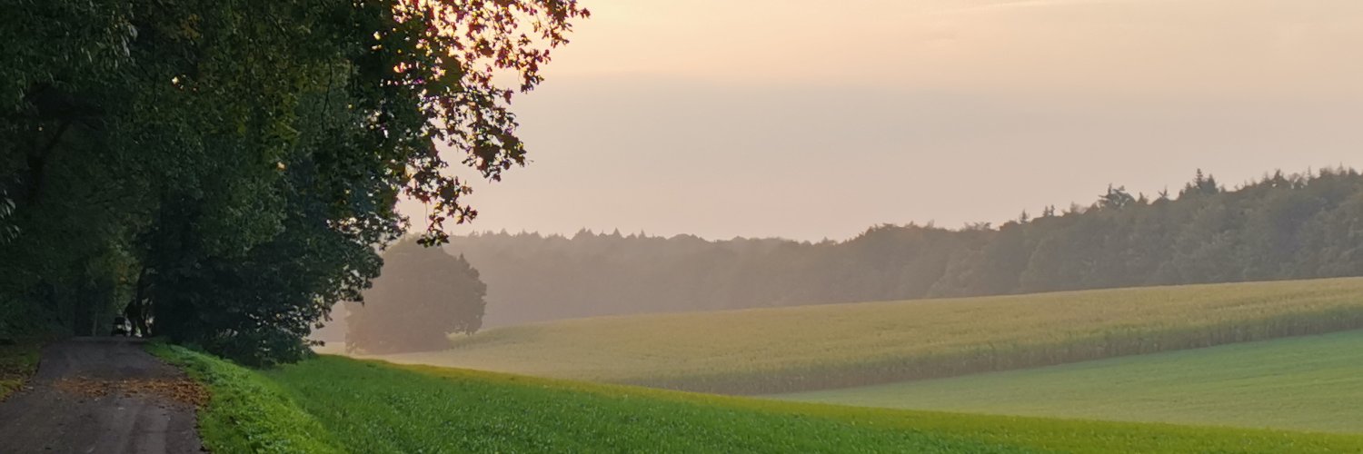 _Ge_Org's profile banner image