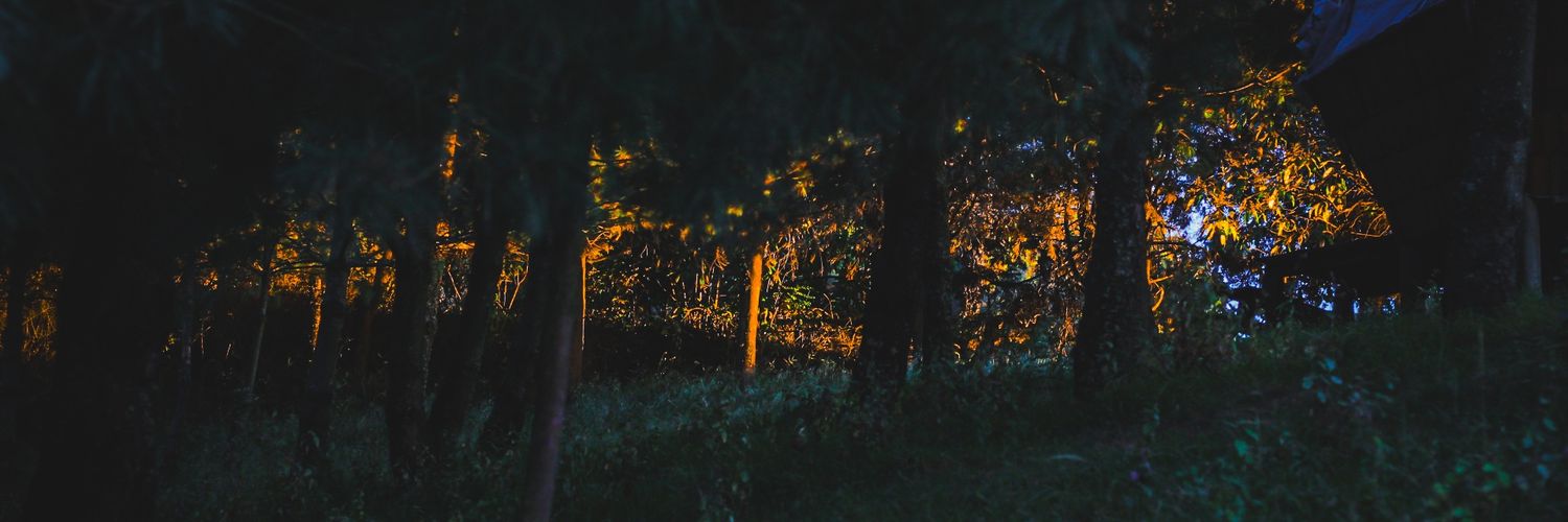 AlexiS__Miranda's profile banner image