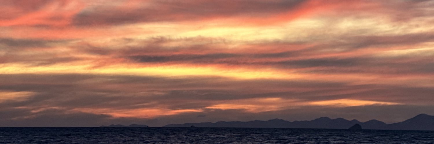 LulaNavarro_'s profile banner image