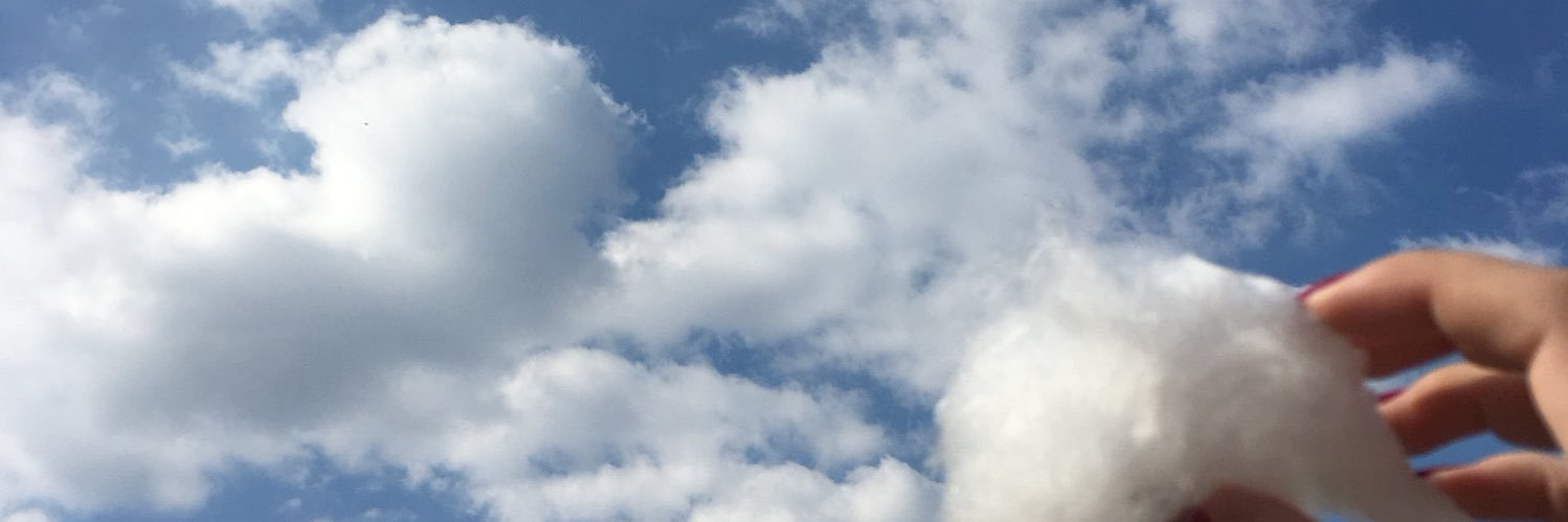 isabella banner