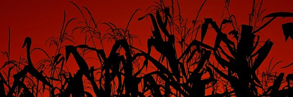 Coach_66 Profile Banner