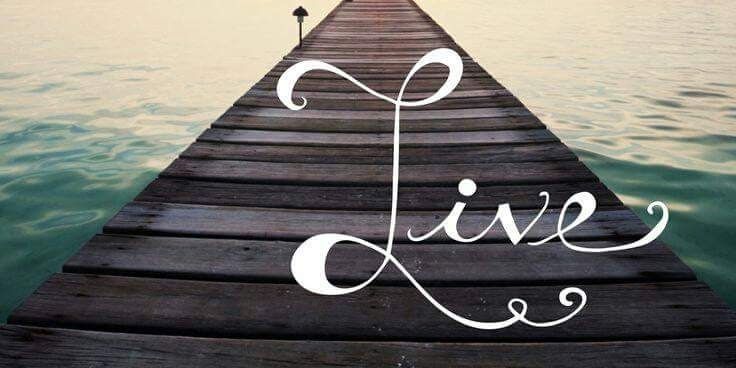 kimhamblin526's profile banner image
