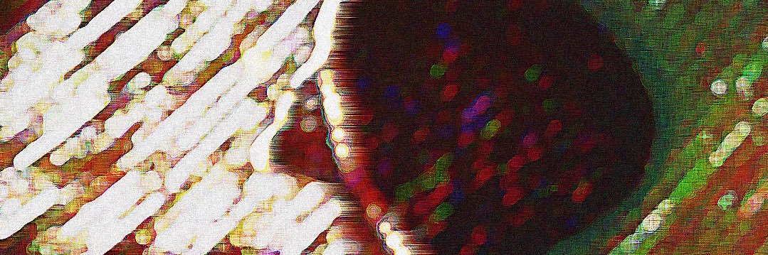 jerodsmith_'s profile banner image