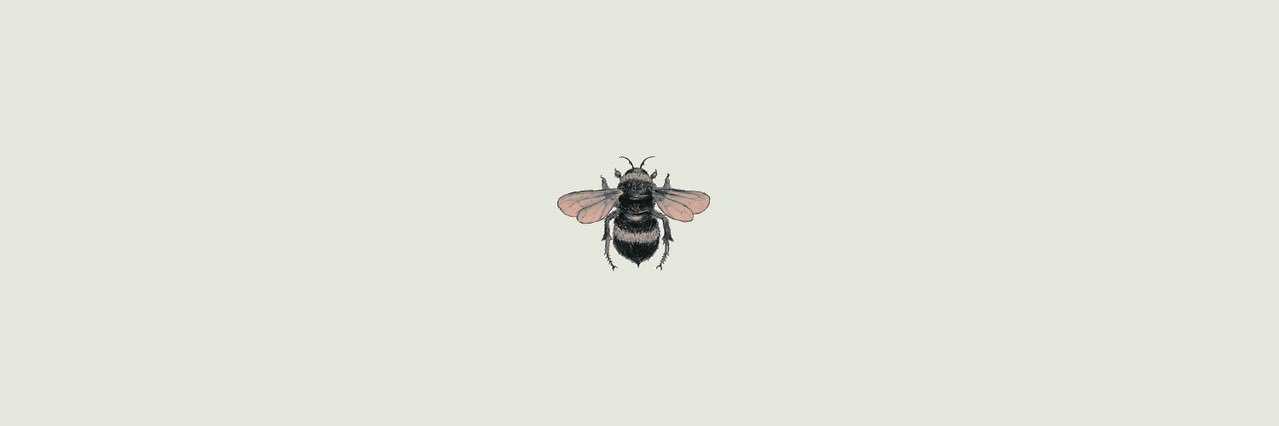 RespectLGillies's profile banner image