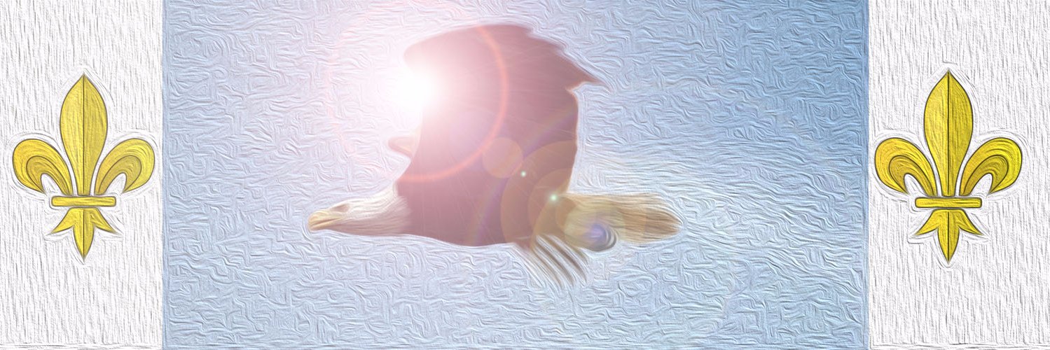 Paulina B Jojot banner
