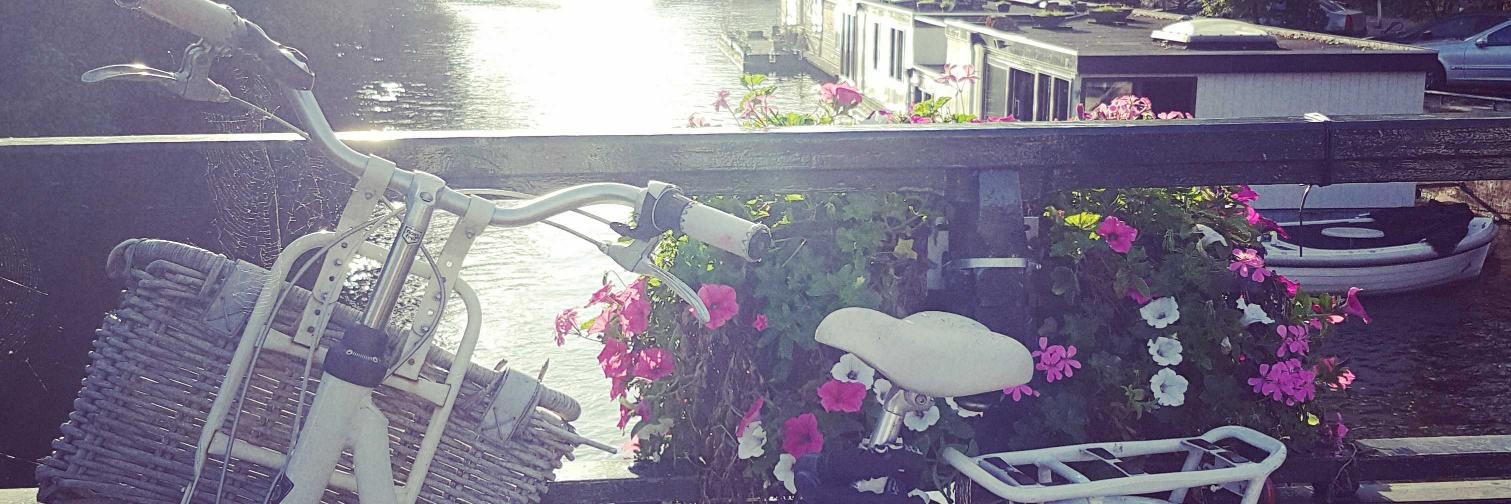 Christa Connell banner