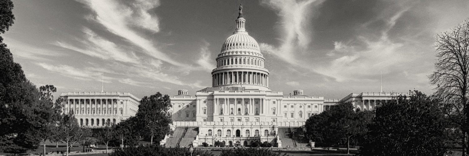 FairVote's banner