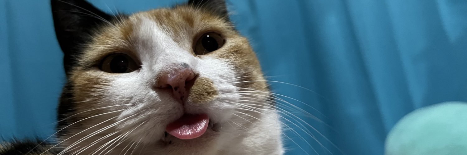 majonuba's profile banner image