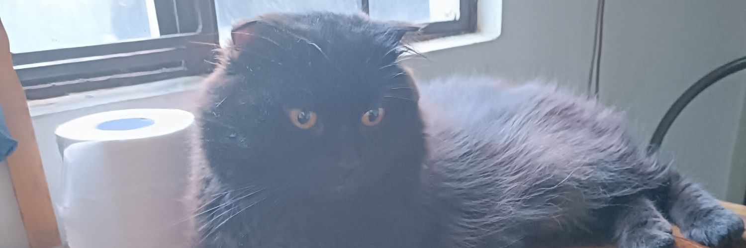 sweetsnobber08's profile banner image