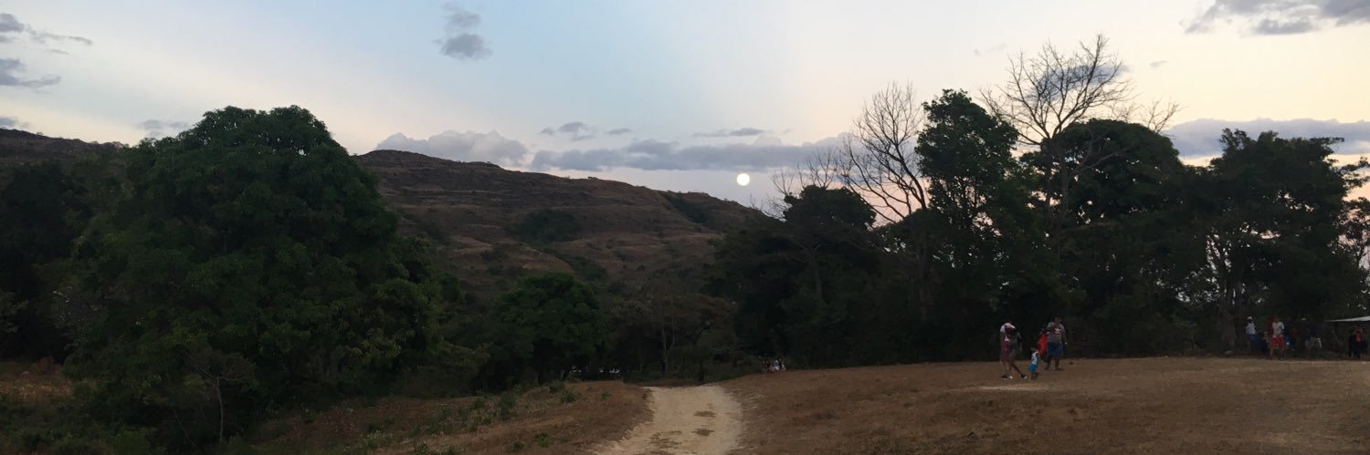 cyndi🌈 banner