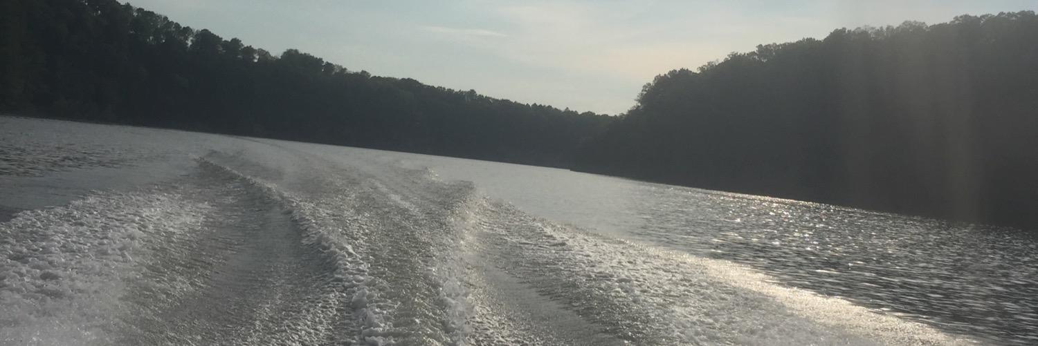 aliannespencer's profile banner image
