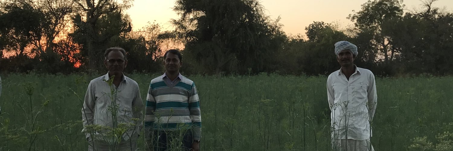 greensaffron's profile banner image