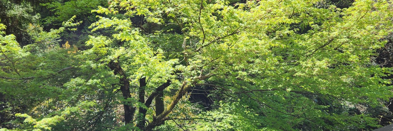 事務力ない banner