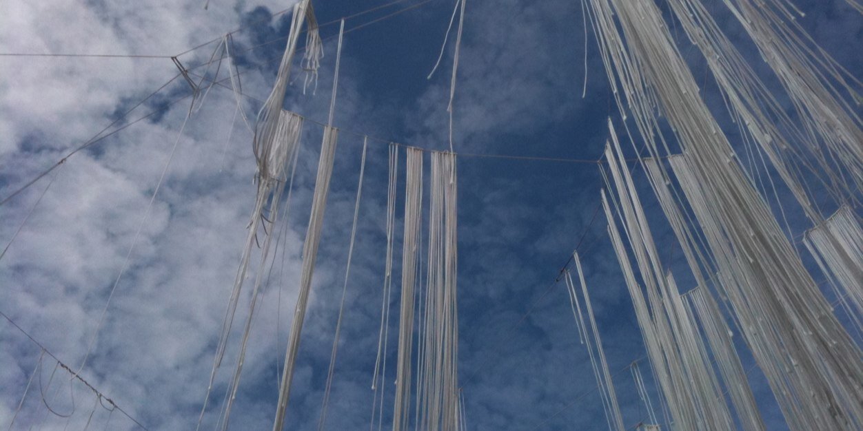 Diljá Valsdóttir banner