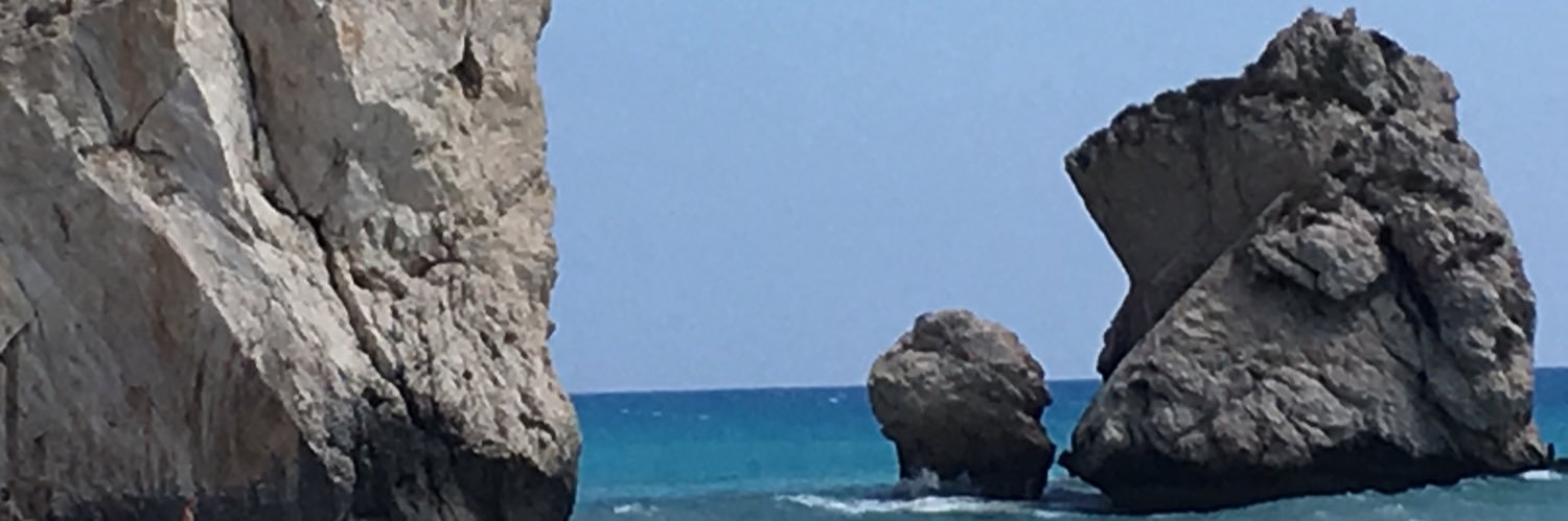 cathy mastrogiacomo banner
