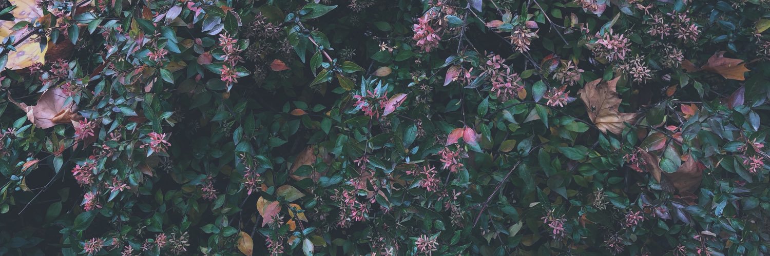 golddustup's profile banner image