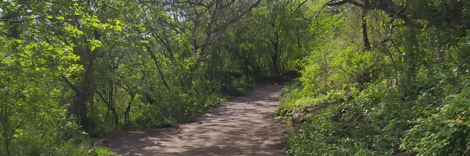 Licenciado Cantinas banner