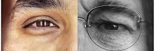 medcheikh's profile banner image